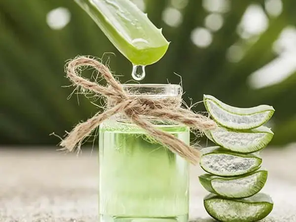 Cách làm nước hoa hồng từ nha đam tại nhà