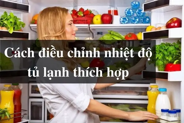 Hướng dẫn điều chỉnh nhiệt độ tủ lạnh sao cho phù hợp