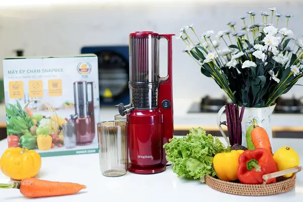 Máy ép chậm SnapBee SK-202VN ép rau củ quả chuyên dụng