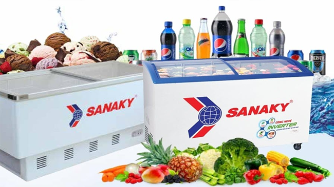 Tủ đông Sanaky