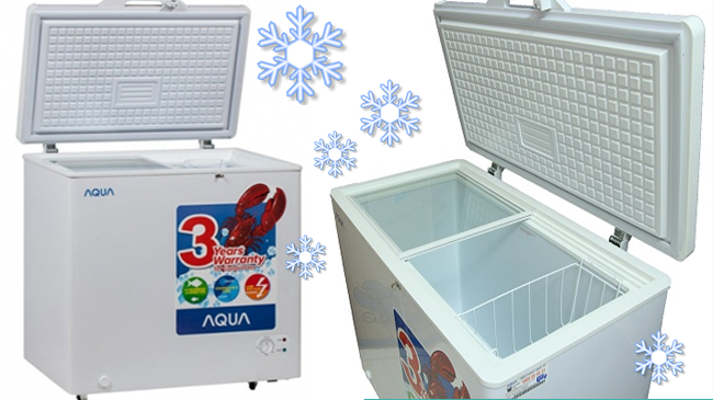 Tủ đông tiết kiệm điện Aqua AQF-C310