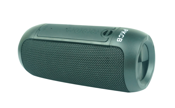 Loa speaker không dây PKCB250